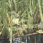 Haus Gruna بيت للعطل Golmbach