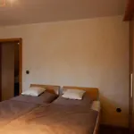 Haus Gruna بيت للعطل *